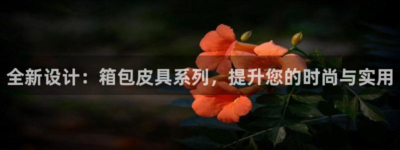 辉达平台官网网站