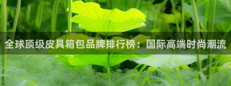 正规辉达娱乐官方网址