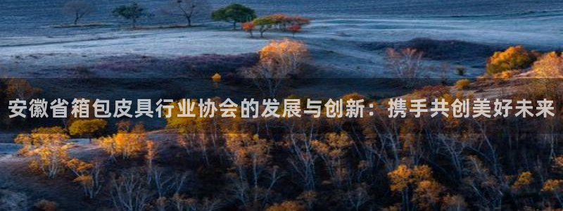 代理辉达娱乐官方网址