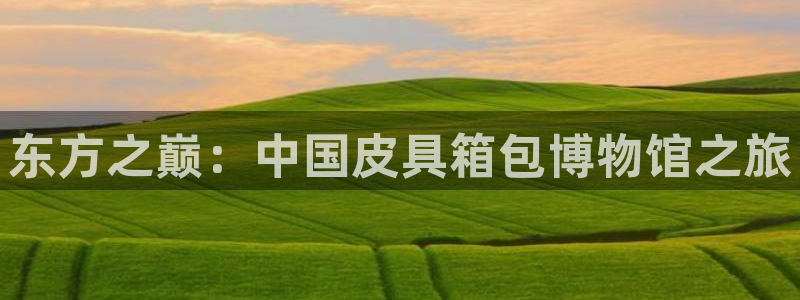 辉达娱乐珈75775