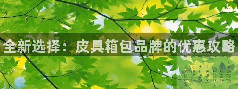 辉达娱乐最新消息新闻