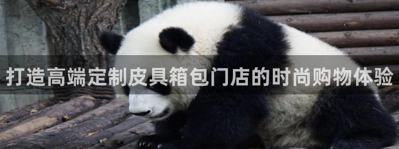 菲律宾辉达娱乐