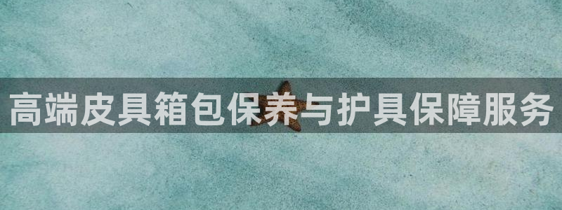 辉达娱乐计划软件