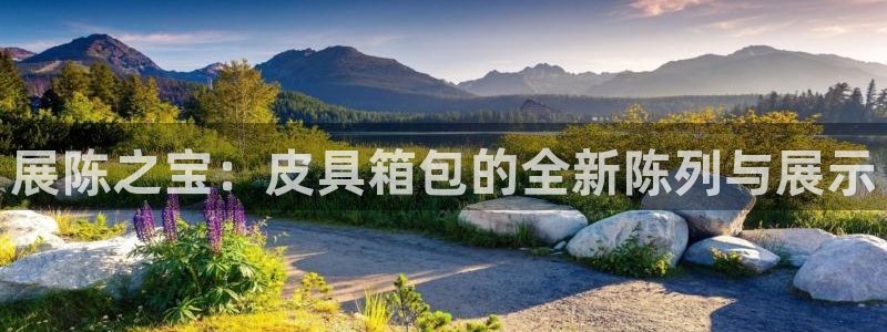 辉达平台官网网站