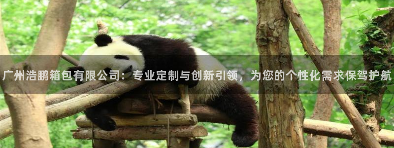 辉达娱乐平台