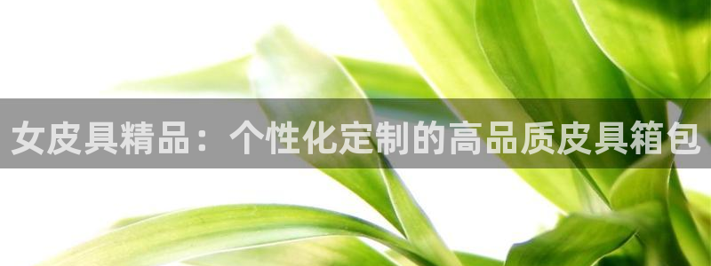 龙腾辉达电子娱乐