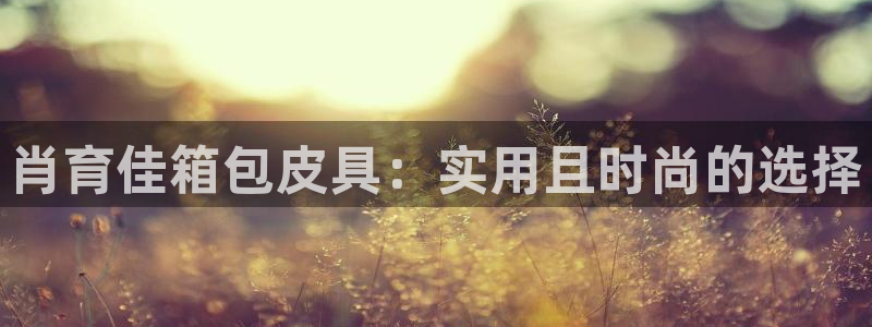 辉达平台官网网站