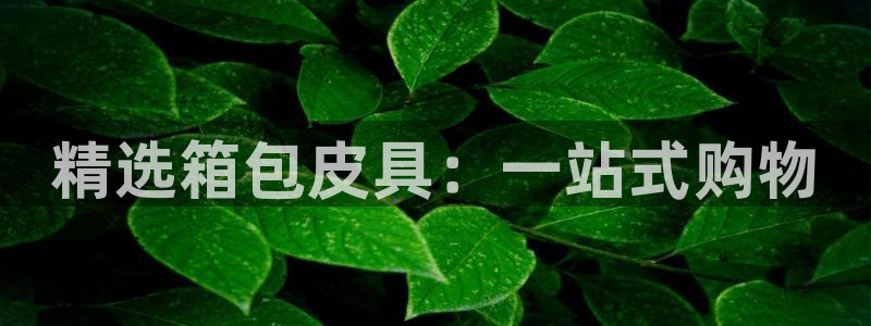 正规辉达娱乐