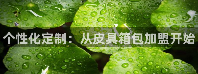 辉达娱乐招商