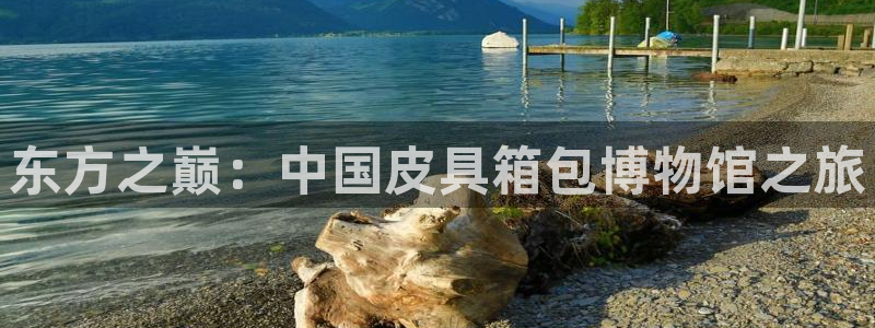 辉达娱乐招商