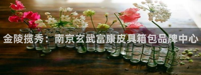 辉达平台官网登录