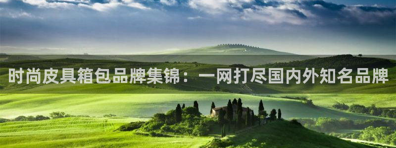 代理辉达娱乐
