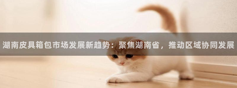 代理辉达娱乐开户注册