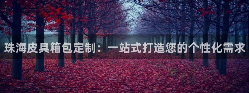 辉达怎么样