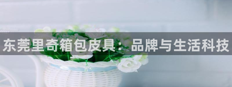 辉达娱乐官方网址