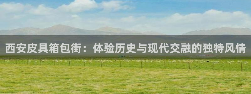 辉达娱乐123123