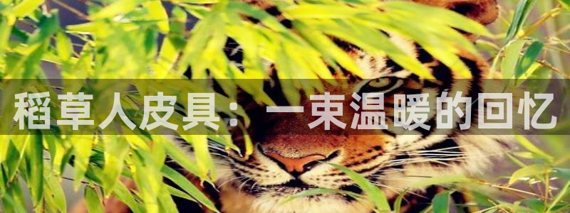 辉达怎么样