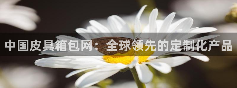 正规辉达娱乐平台