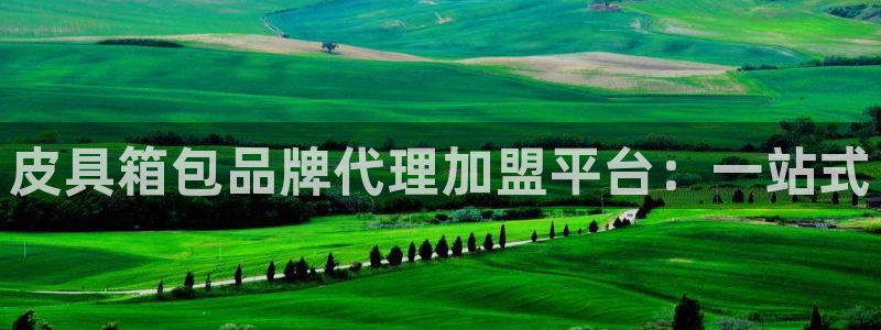 辉达娱乐游戏.直开.中国