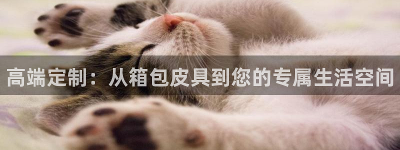 辉达娱乐时时彩