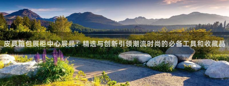 代理辉达娱乐平台