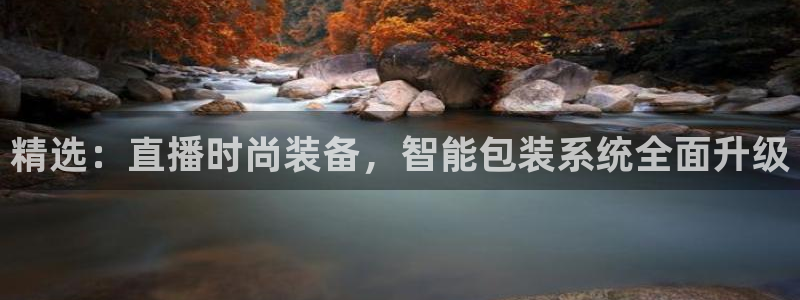 辉达娱乐总部