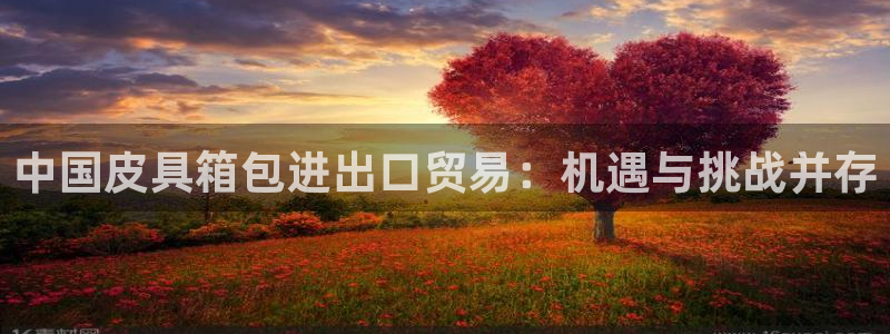 辉达娱乐福彩