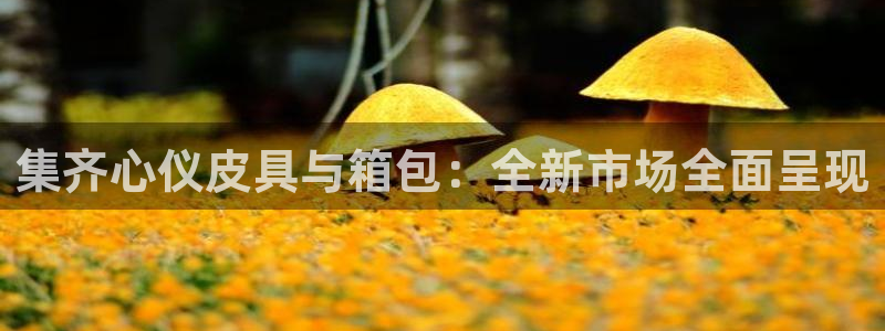 恒达娱乐辉70667