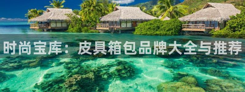 辉达娱乐总部