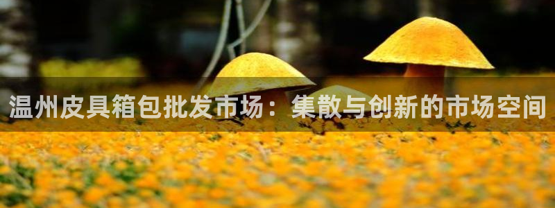 恒达娱乐辉70667