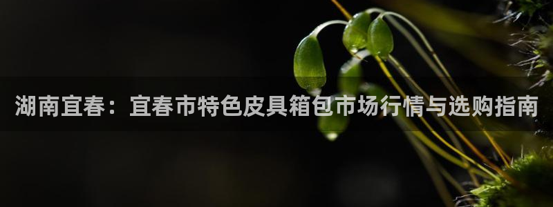 辉达娱乐ag游戏平台