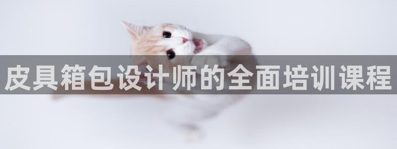 菲律宾辉达娱乐